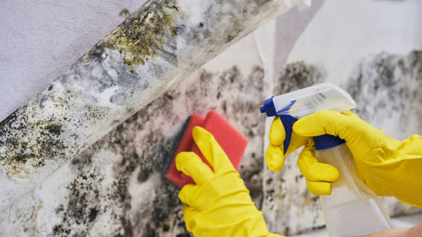 Best Commercial water damage restoration  in Kingfisher, OK